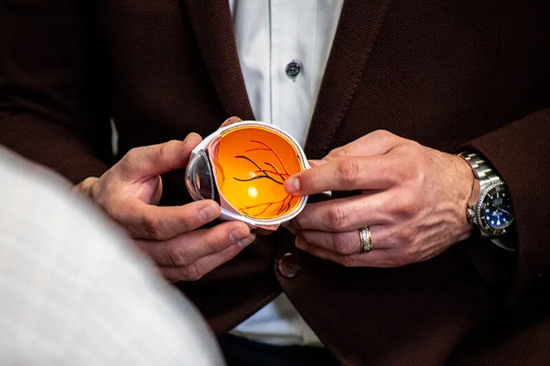 Showing Eye Model Showing Eye Model