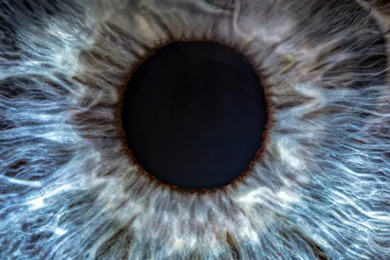 Media - Procedures Macro view of blue eye