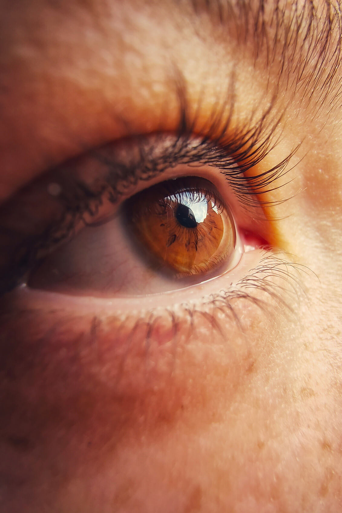 Close up of brown eye