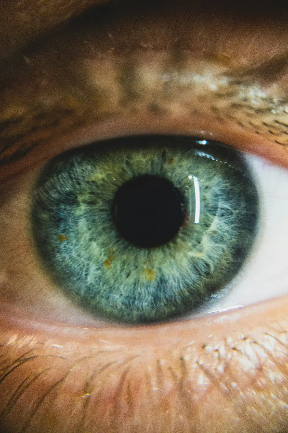 Close up of blue green eye